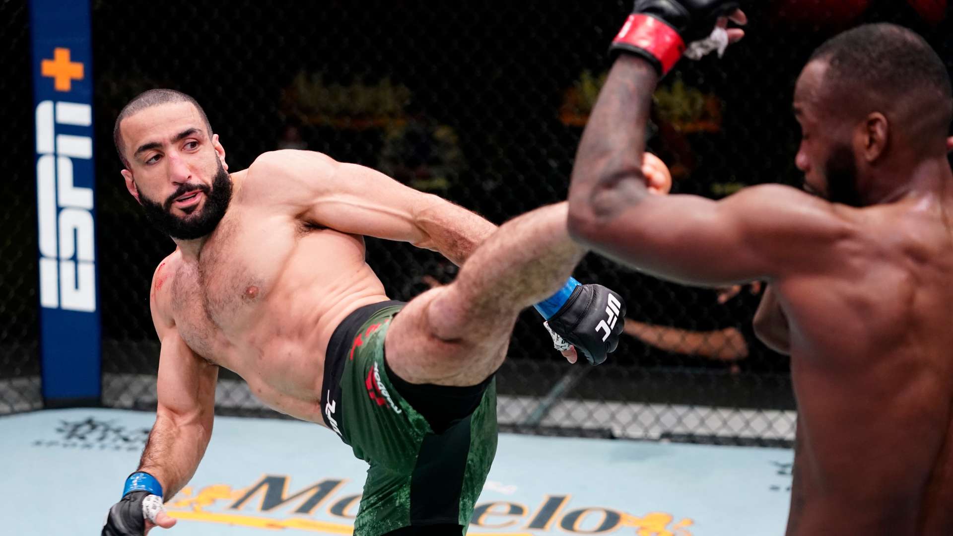 整个场馆 整个场馆